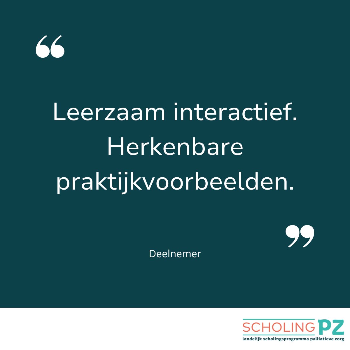 Reviews verpleegkundigen voor website
